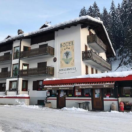 Hotel Genzianella Presenaio Extérieur photo